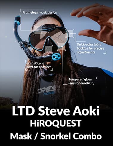Divers Category image