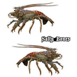 Salty Bones Florida Lobster Decal Thumbnail}