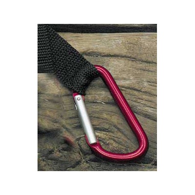 Carabiner with Webbing and Quick Release Buckle