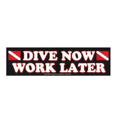 Dive Now Bumper Sticker