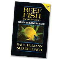 Humann Reef Fish ID Book - Scuba Diving Book