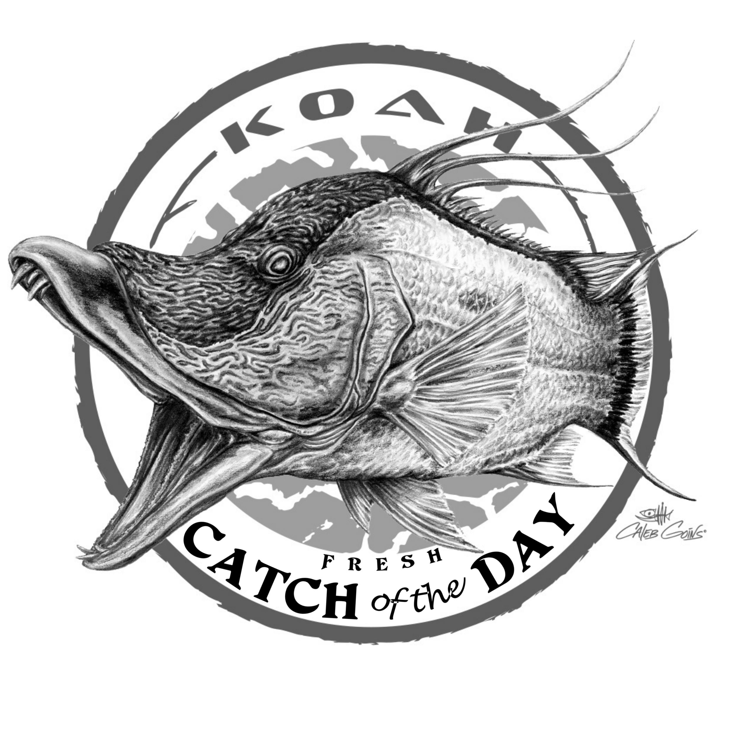 Koah Catch of the Day Hogfish T-Shirt Back Graphic