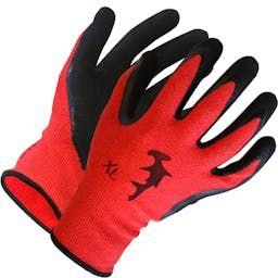 HammerHead Dentex Gloves - Nitrile Thumbnail}