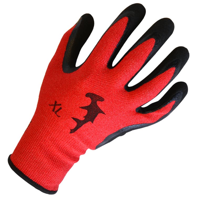 HammerHead Dentex Gloves - Nitrile Back