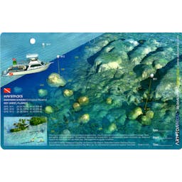 Western Sambo Ecological Reserve 3D Dive Site Map  Thumbnail}