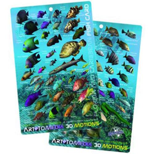 3D Fish ID Card, Florida & Caribbean, Small Alternate View