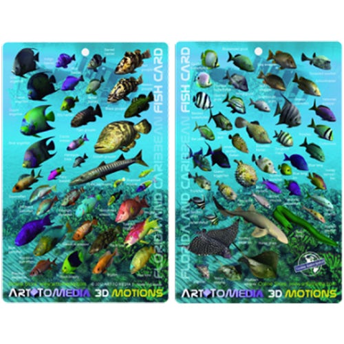 3D Fish ID Card, Florida & Caribbean, Small