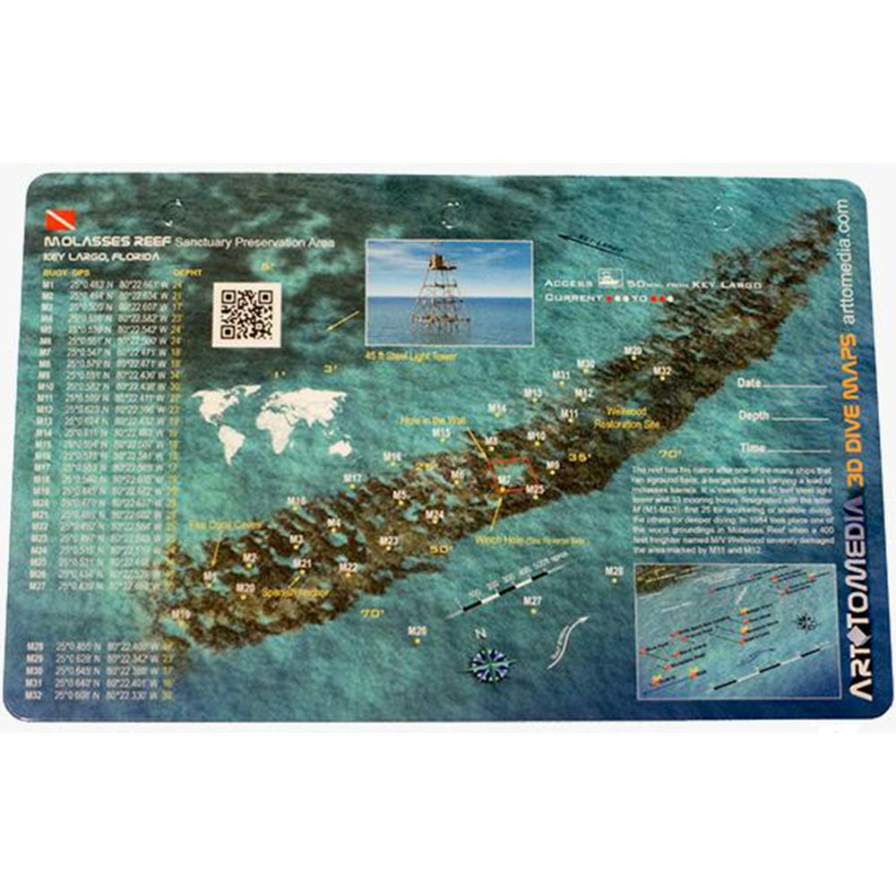 Molasses Reef 3D ID Card