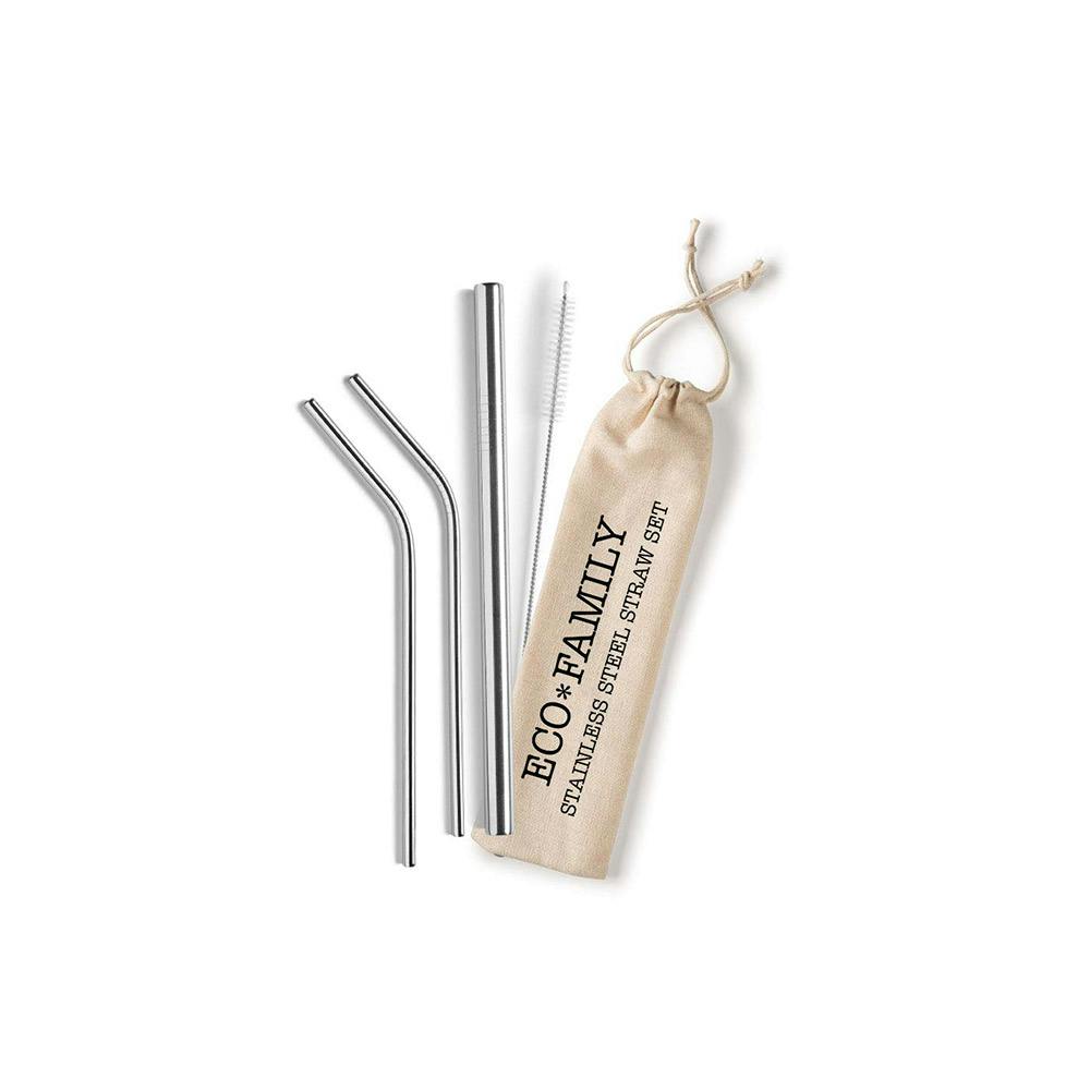 Stainless Steel Reusable Straw Set - Eco Family
