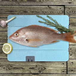 Toadfish Folding Cutting Board With Built-in Knife Sharpener Snapper Thumbnail}