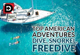 Top American Dive, Freedive, and Snorkel Adventures
