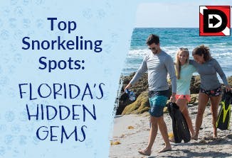 Top Snorkeling Spots: Florida’s Hidden Gems