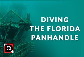 Where to Scuba Dive in Florida for the Winter - Part 1: Diving the Florida Panhandle