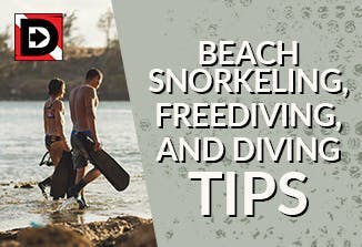 Beach Snorkeling, Freediving, and Diving Tips
