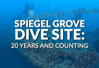20 Years of the Spiegel Grove