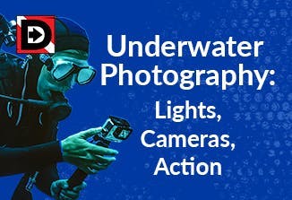 Underwater Photography: Lights, Cameras, Action