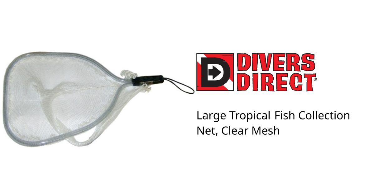 Large Tropical Fish Collection Net Clear Mesh
