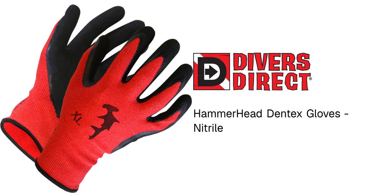 HammerHead Dentex Gloves - Nitrile