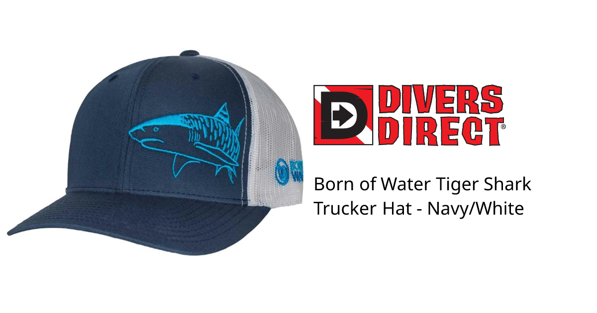 帽子 1 TRUTH TRUCKER NAVY Born of Water Tiger Shark Trucker Hat - Navy/White