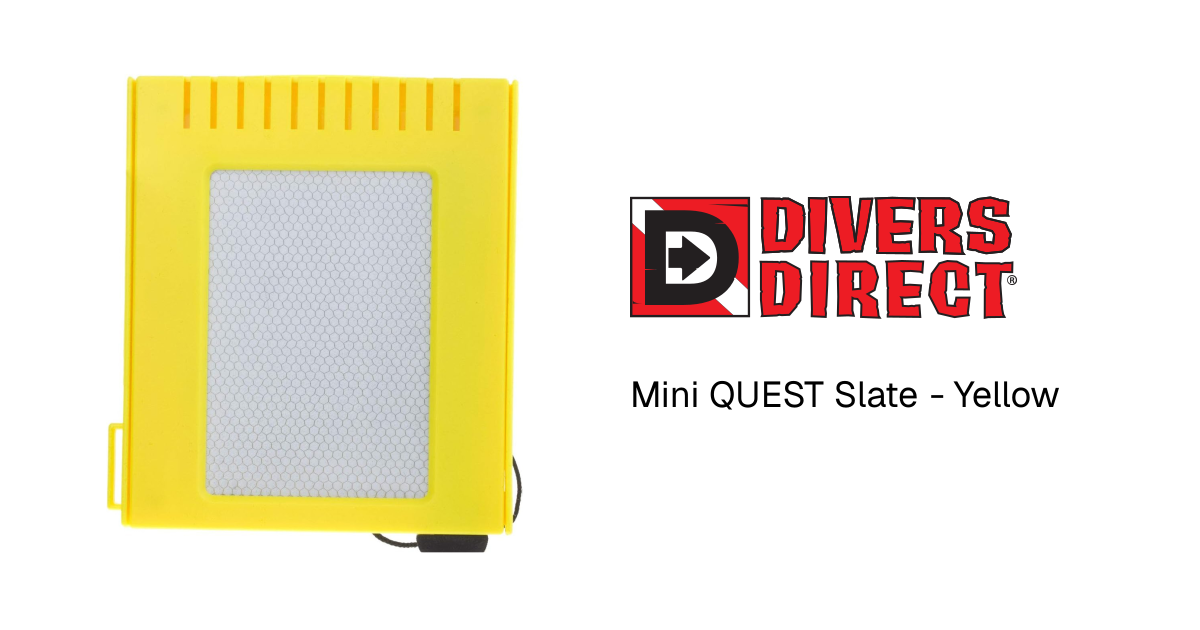 Mini QUEST Slate - Yellow