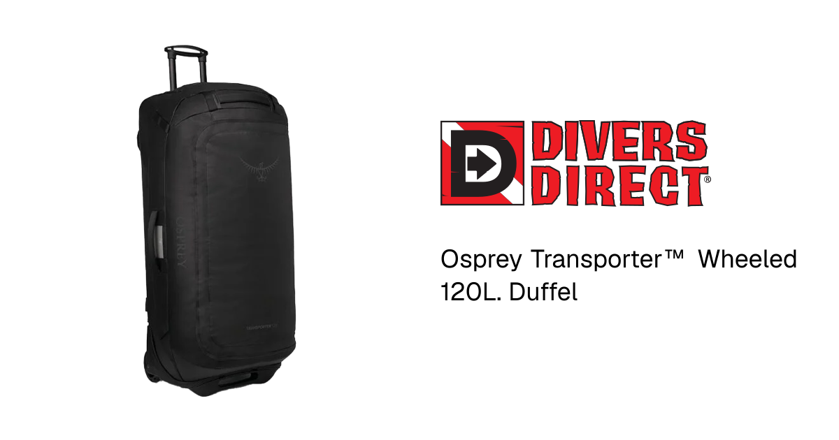 backpack traveler nulled UNRL Train x Travel Backpack in Black